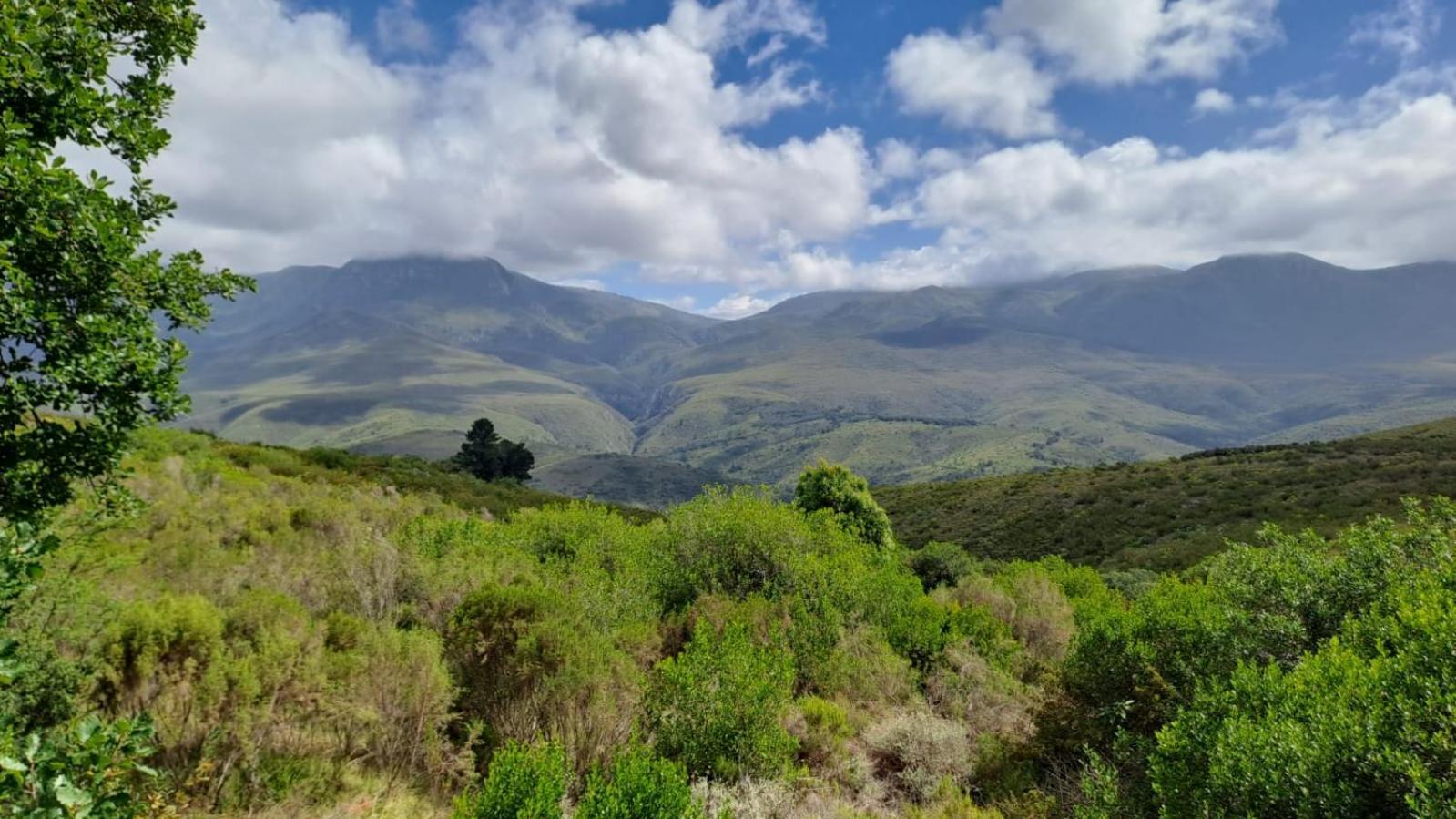 Akasha Mountain Retreat, New Location Heidelberg (Western Cape) Exterior foto