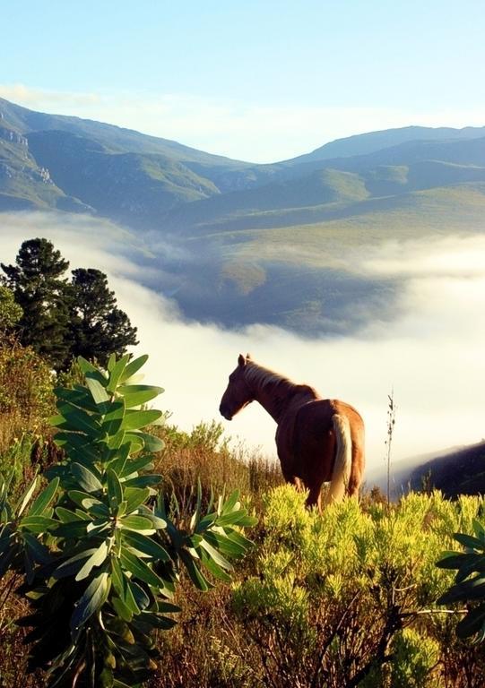 Akasha Mountain Retreat, New Location Heidelberg (Western Cape) Exterior foto